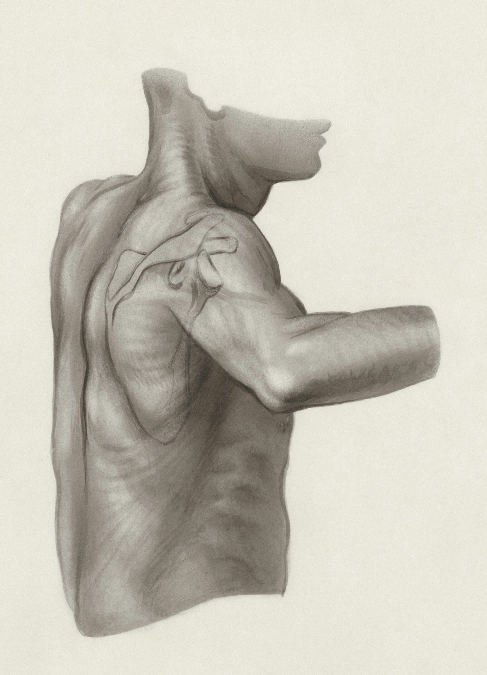 Musculosketon USG